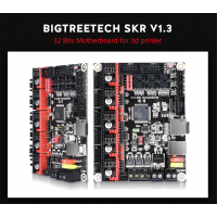 skr13_1_856281693